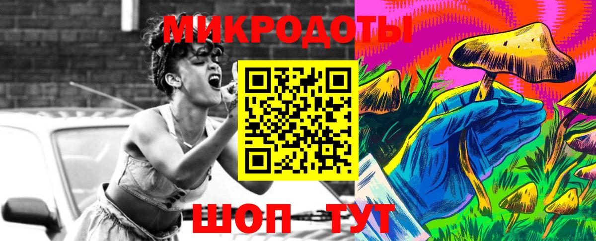 Пугачёв  Псилоцибиновые грибы прущие грибы  Вход с VPN 