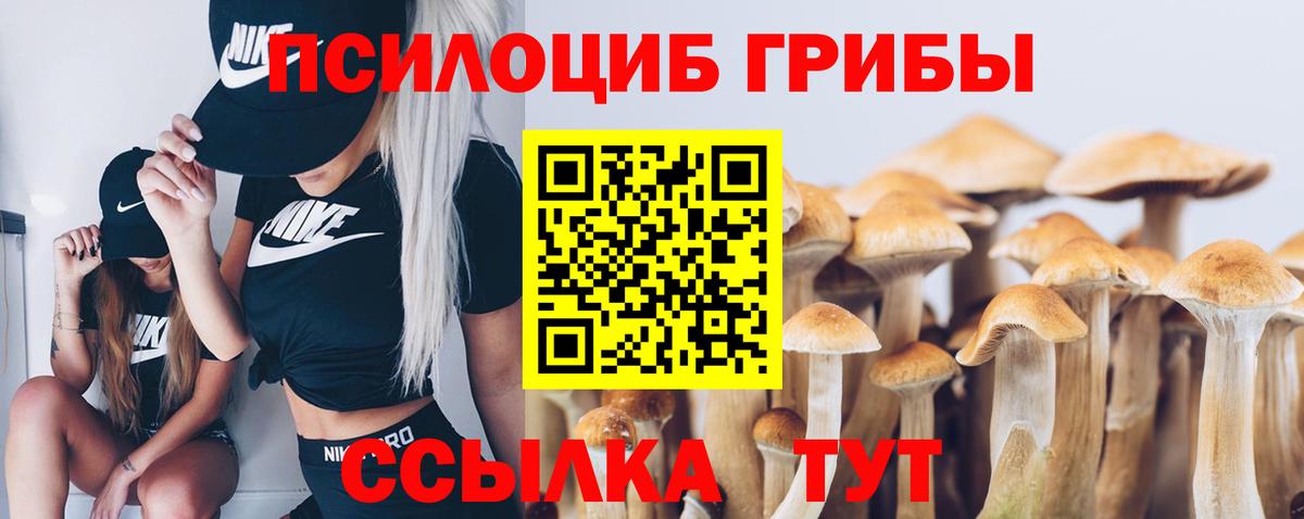 Галлюциногенные грибы Cubensis Пугачёв